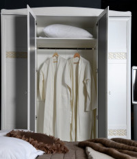 Шкаф для одежды Заречье Клауди КД14